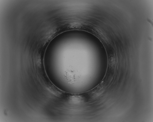 X0000093360508200710111457