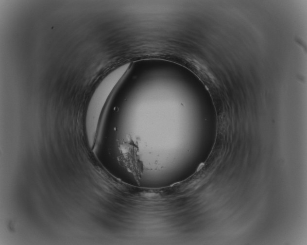 X0000093360509200710111457