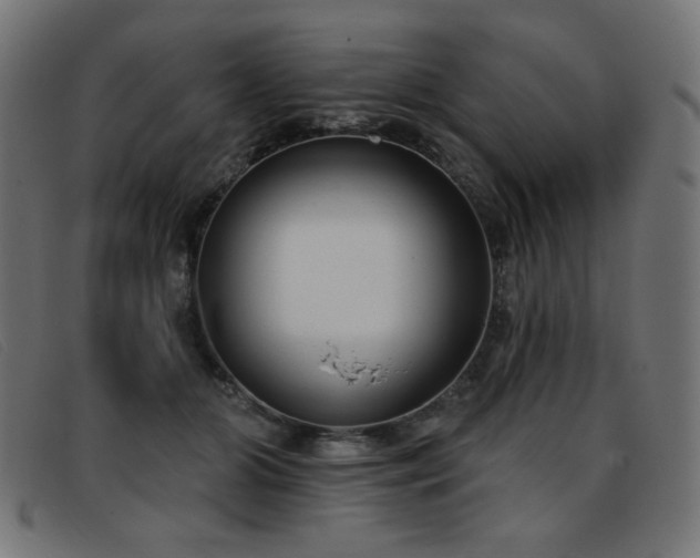 X0000093360510200710111457