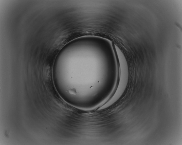 X0000093360511200710111457