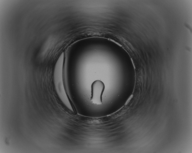 X0000093360513200710111457