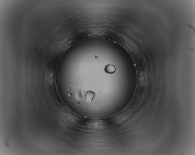 X0000093360514200710111457