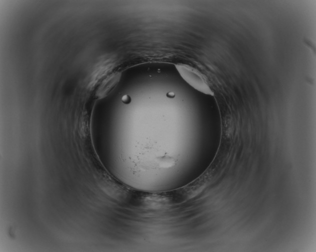 X0000093360515200710111457