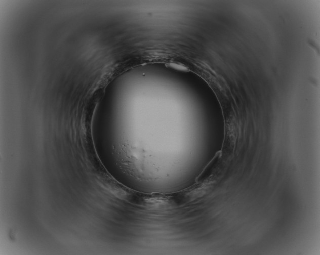 X0000093360516200710111457