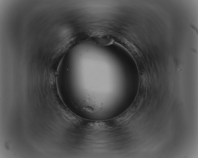 X0000093360517200710111457