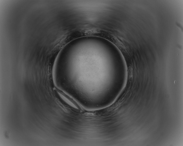 X0000093360519200710111457