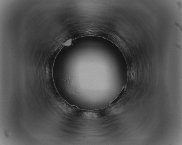 X0000093360520200710111457