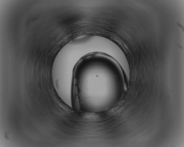 X0000093360521200710111457