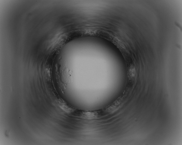 X0000093360522200710111457