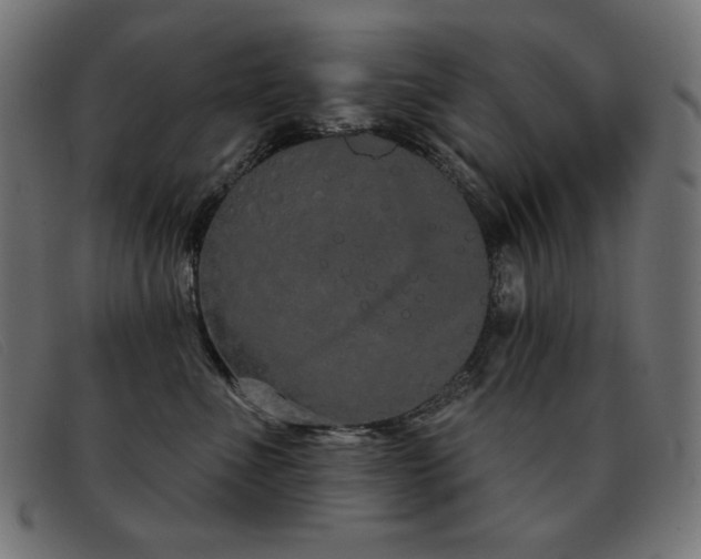 X0000093360523200710111457