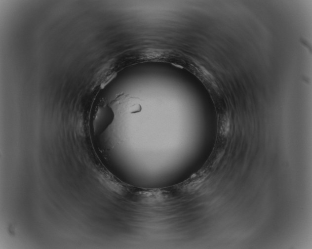 X0000093360524200710111457