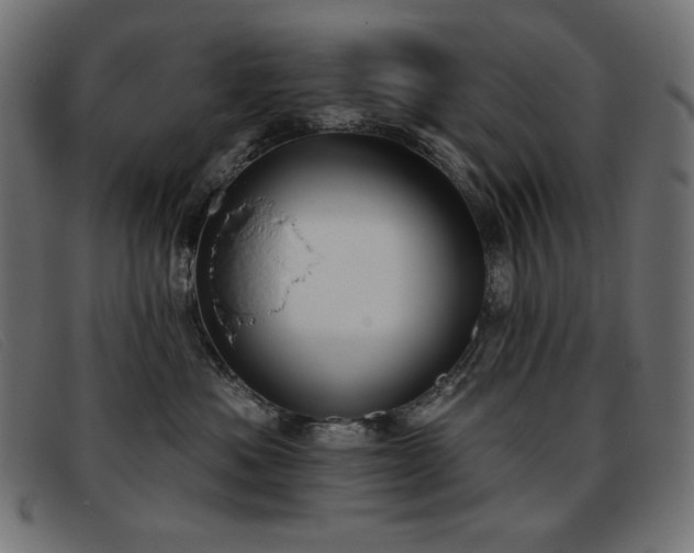 X0000093360525200710111457