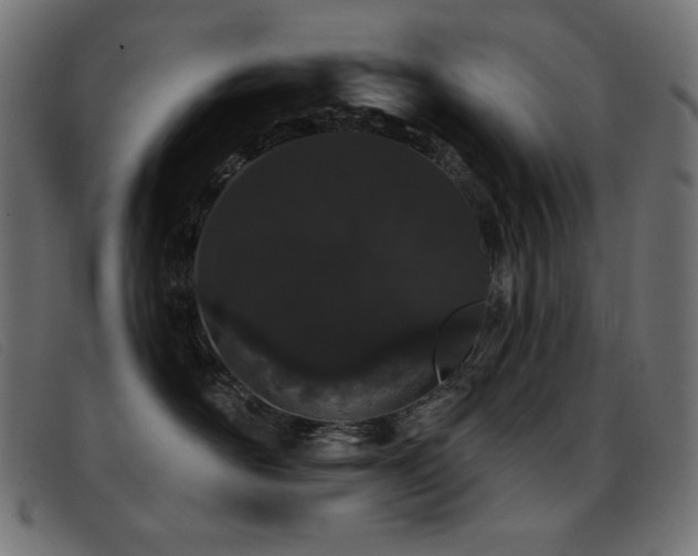 X0000093360526200710111457