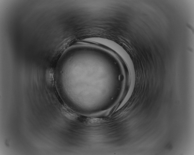 X0000093360527200710111457