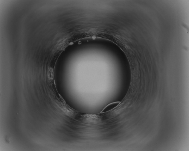 X0000093360528200710111457