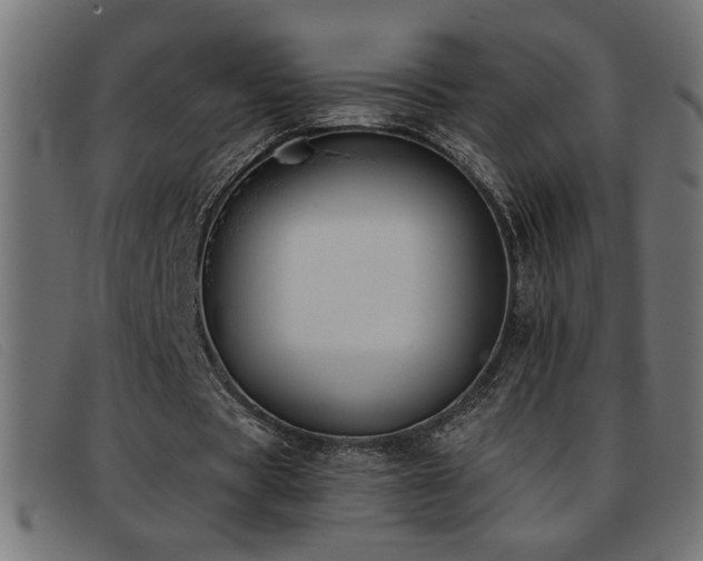X0000093360529200710111456