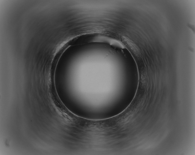 X0000093360532200710111456
