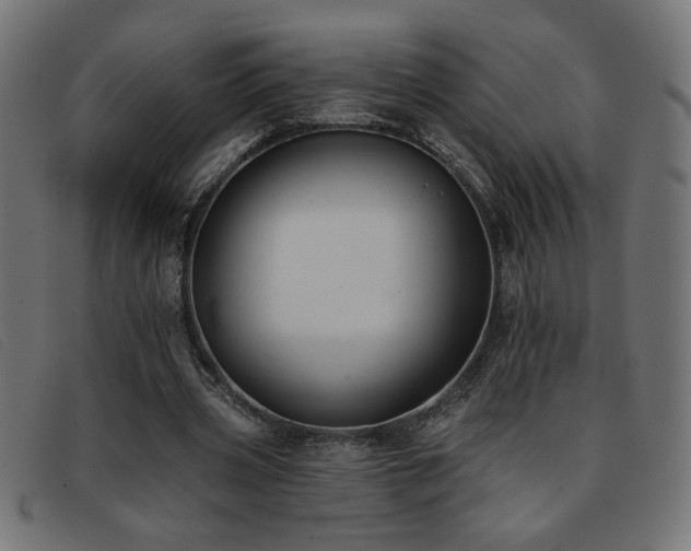 X0000093360533200710111456