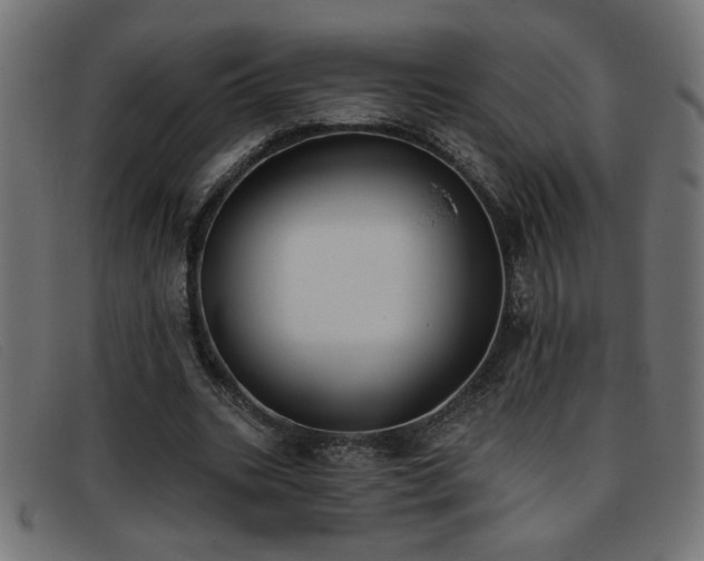 X0000093360535200710111456
