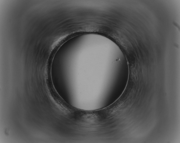 X0000093360536200710111456