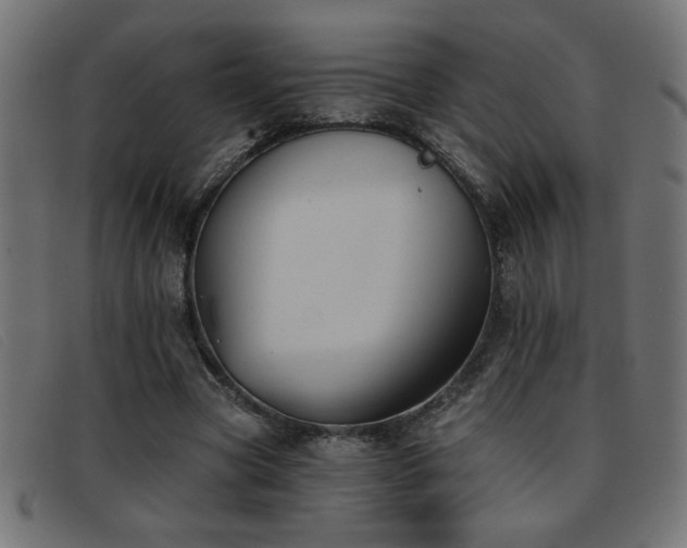 X0000093360537200710111456