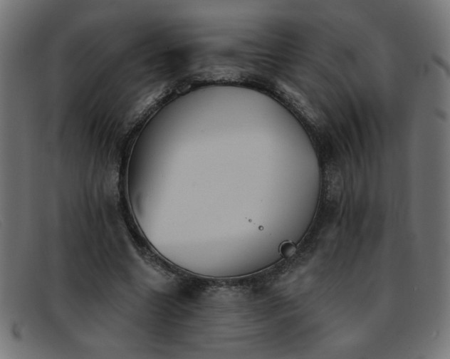 X0000093360538200710111456