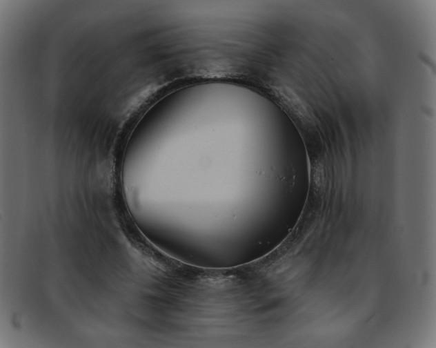 X0000093360540200710111456