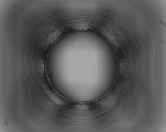 X0000093360541200710111456