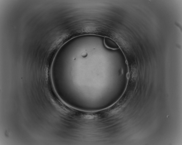 X0000093360542200710111456