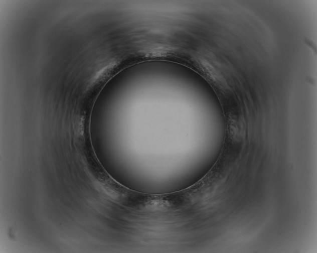 X0000093360543200710111456