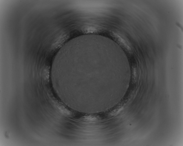 X0000093360545200710111456