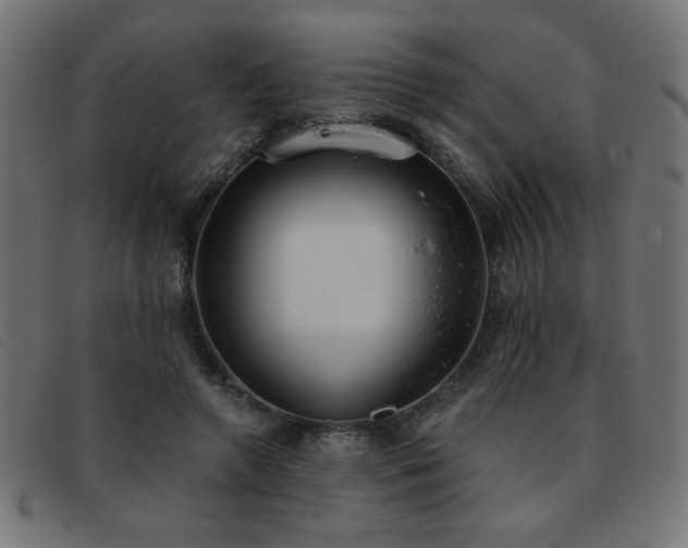 X0000093360546200710111456