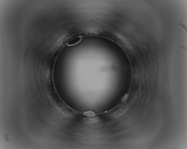 X0000093360548200710111456