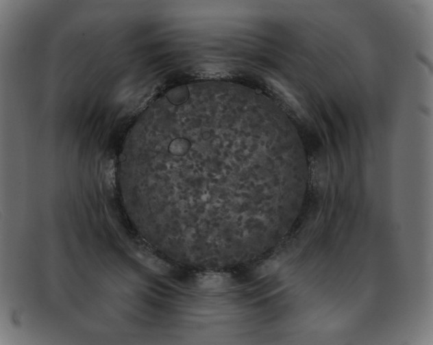 X0000093360549200710111456