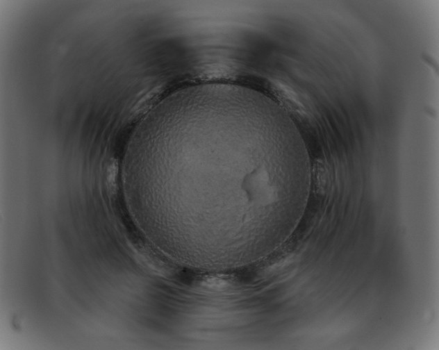X0000093360550200710111456