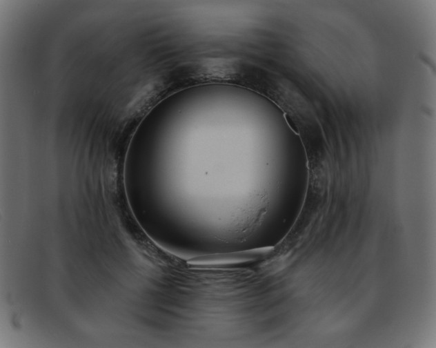 X0000093360552200710111456