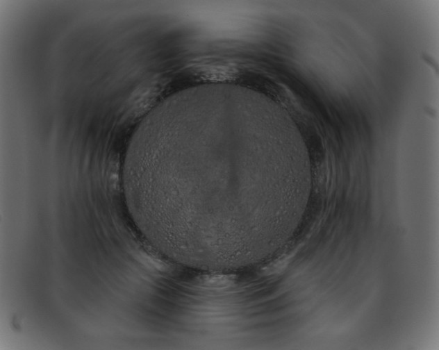 X0000093360553200710111456