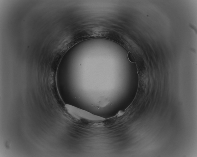 X0000093360554200710111456
