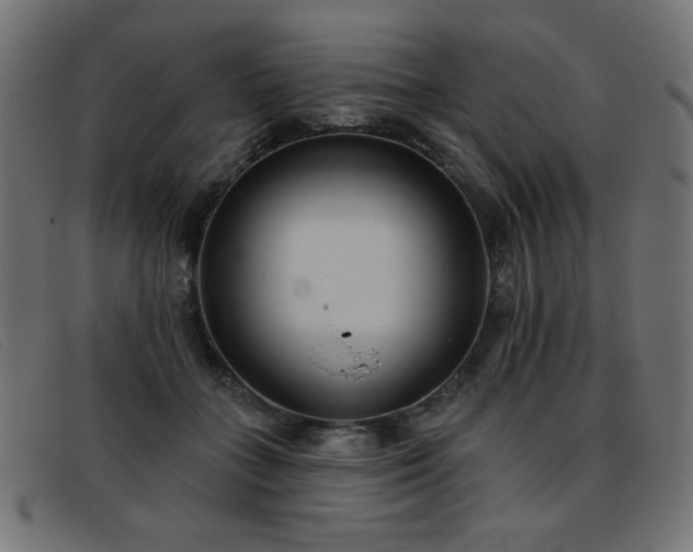 X0000093360555200710111456