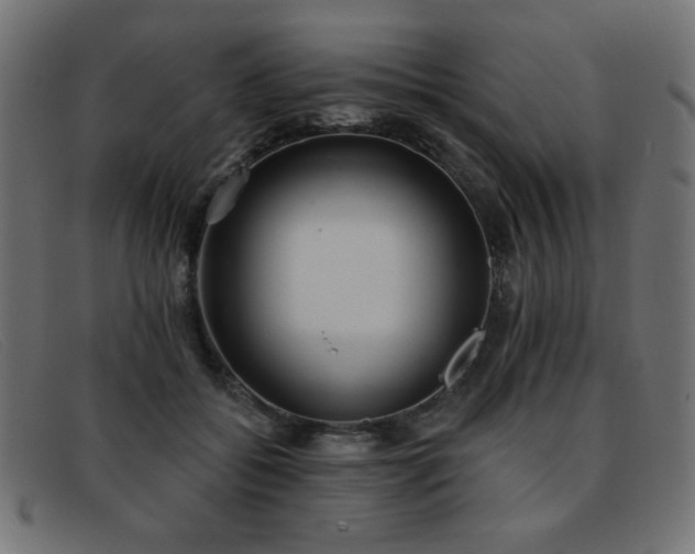 X0000093360556200710111456
