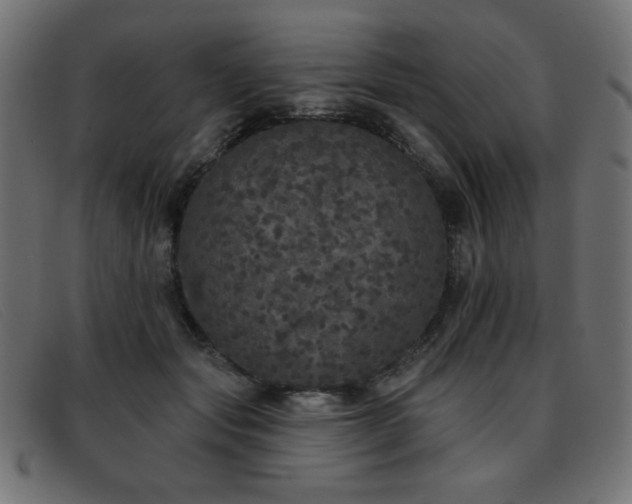 X0000093360557200710111456