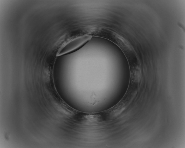 X0000093360558200710111456