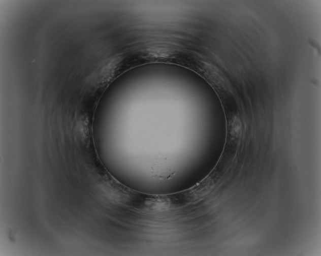 X0000093360559200710111456
