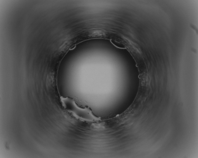 X0000093360560200710111456