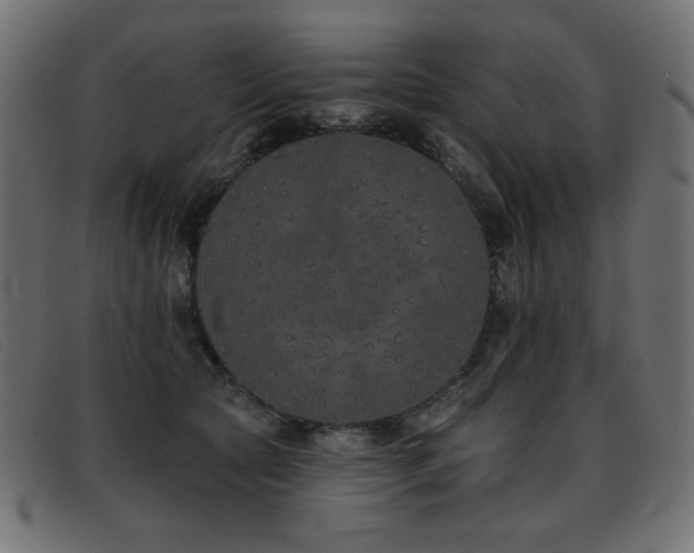 X0000093360561200710111456