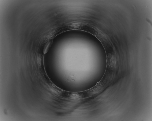 X0000093360562200710111457