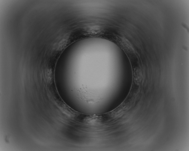 X0000093360563200710111457