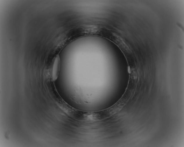 X0000093360564200710111457
