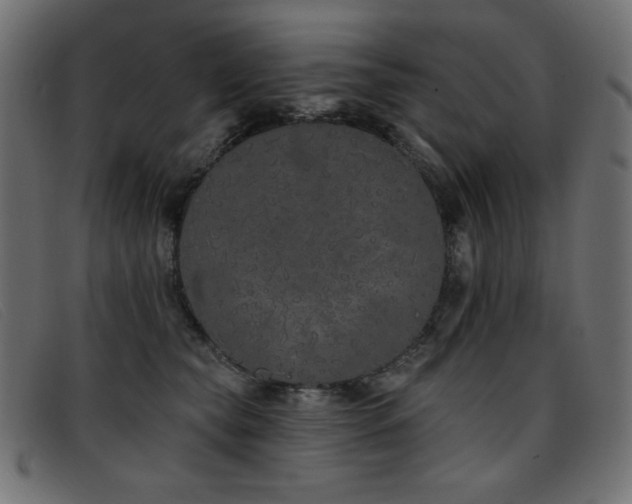 X0000093360565200710111457