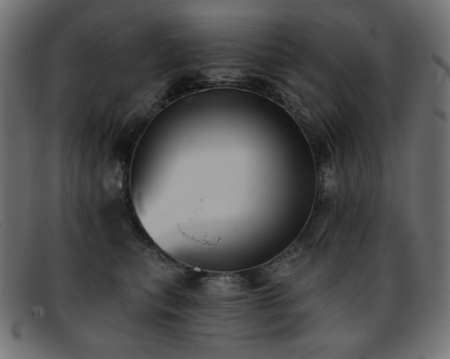 X0000093360567200710111457